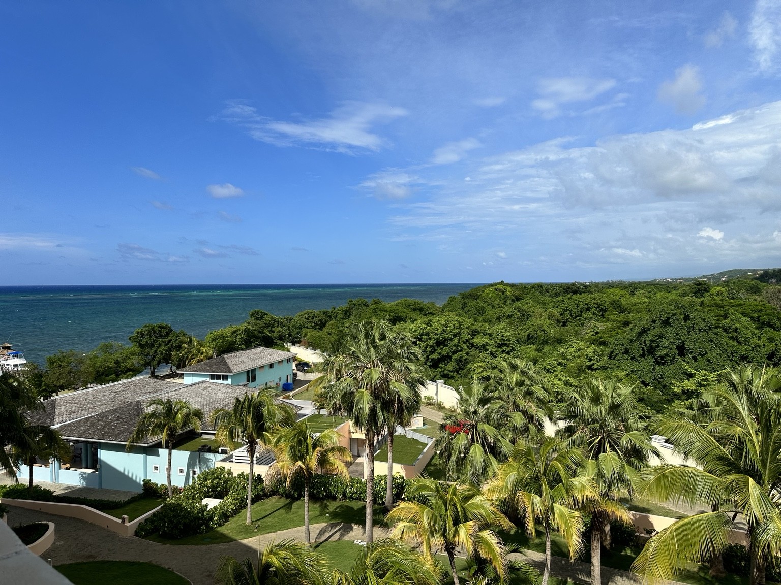 Tropical greenery and coastal views in Jamaica