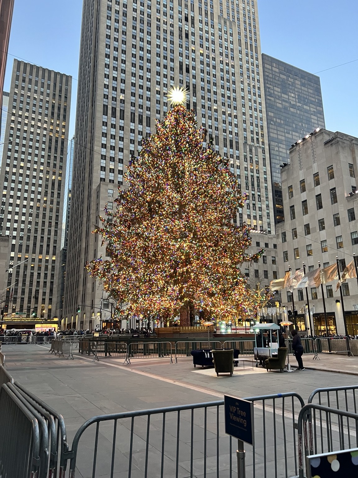 The Rockefeller Center Christmas tree
