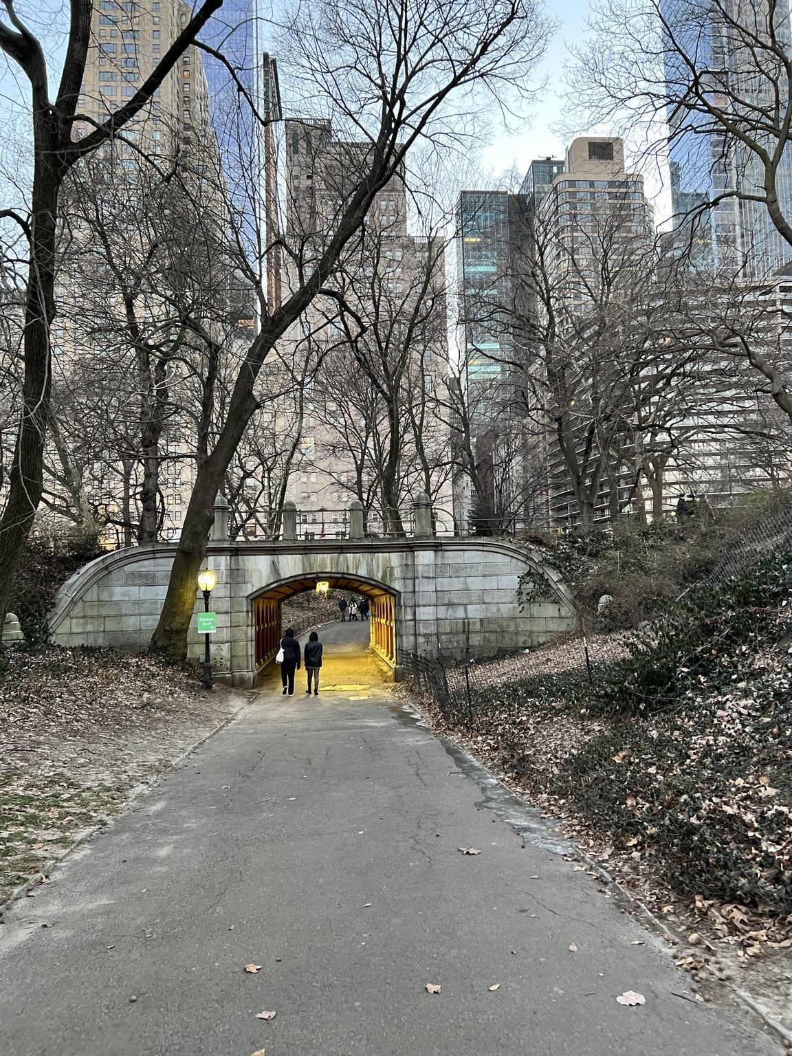 A winter walk through Central Park